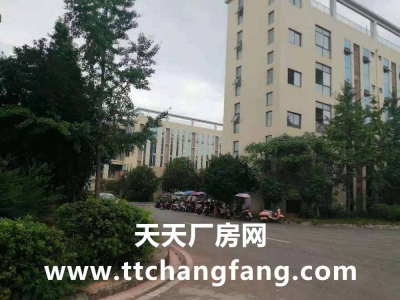 金堂食品厂房出租，金堂食品车间出租图5