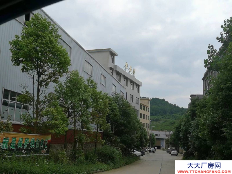 (出租) 夏云工业园厂房出租，原房东，住宿楼