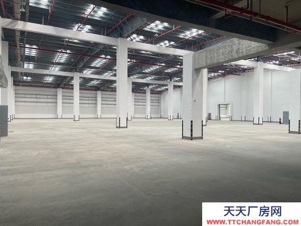 南京市浦口区新建仓库，整租，分租，长期，临时租赁都可以。价格美丽