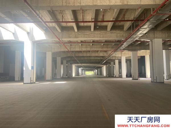 南京市浦口区新建仓库，整租，分租，长期，临时租赁都可以。价格美丽