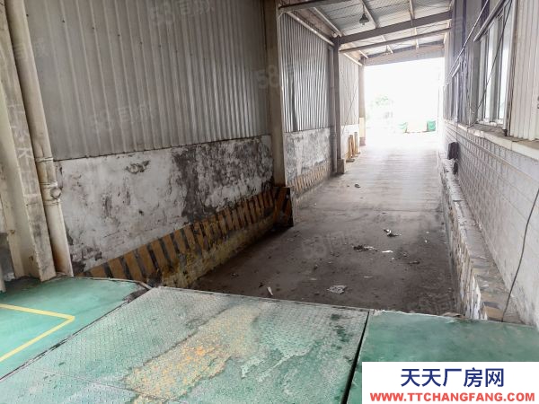 南京市栖霞新港12000平独门独院。全单层钢架结构有航车