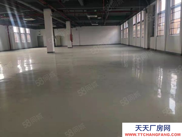 南京市 栖霞新港开发区独栋厂房工业用地两证齐全层高8米