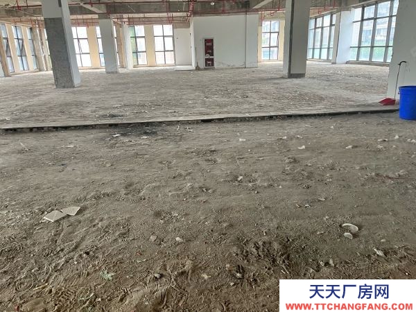 南京市秦淮区 大明路 卡子门 南站产业园区 层高6米 办公仓储面积可分割