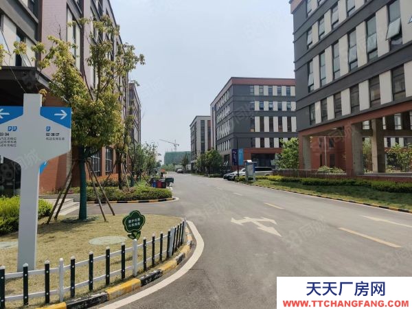 南京市六合浦口出租，可分租，现房，生产办公