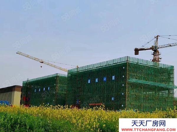 南京市雨花台区 独栋1600平标准厂房出售！可挂墙体品牌，50年双证大产权