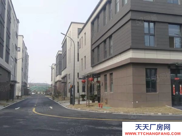 南京市建邺区地铁口1千平花园独栋出售一楼8米三楼送大露台均价5千首付三成