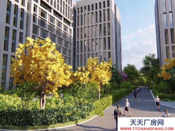 长沙市雨花区 300 500平厂房办公楼低价出租