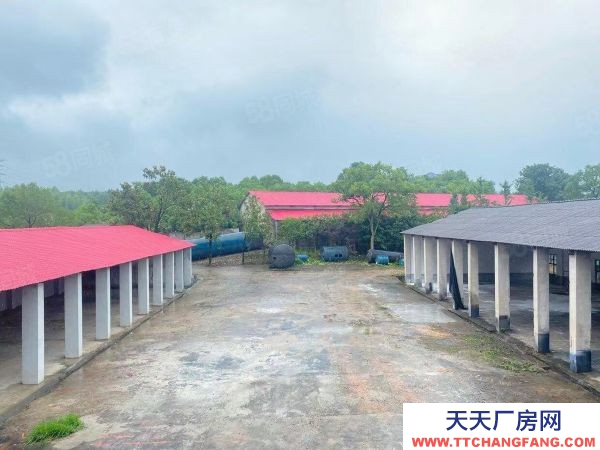 长沙市雨花区跳马镇独门独院3000厂房仓库优价出租