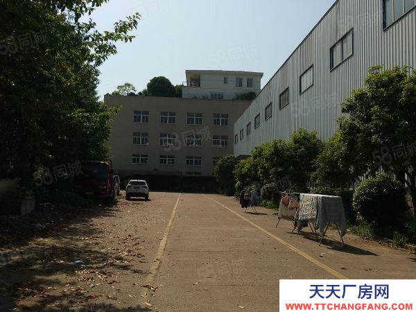 长沙市天心区  国有资产混疑土结构适合办学康养医院物业招租