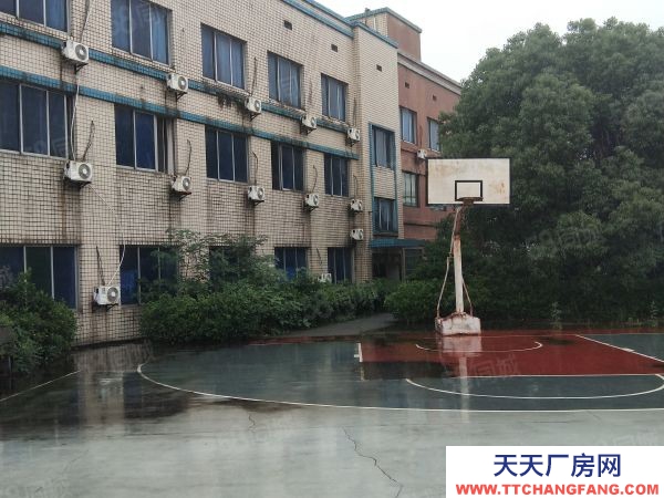 长沙市天心区  大型厂房出租 适合办学校 独门独院交通便利形象好