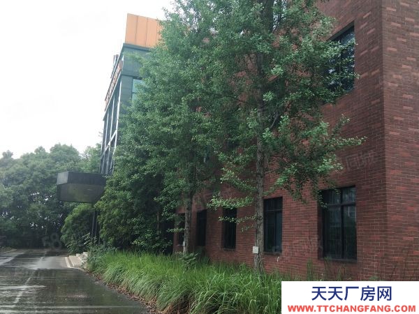 长沙市天心区  大型厂房出租 适合办学校 独门独院交通便利形象好