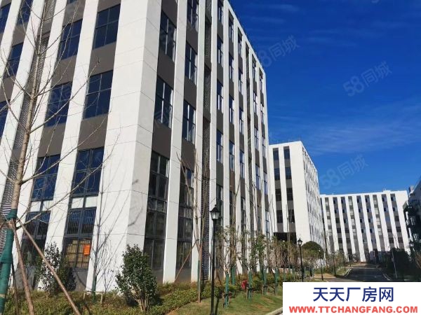 长沙市开福区 上市国企开发400平起厂房出售