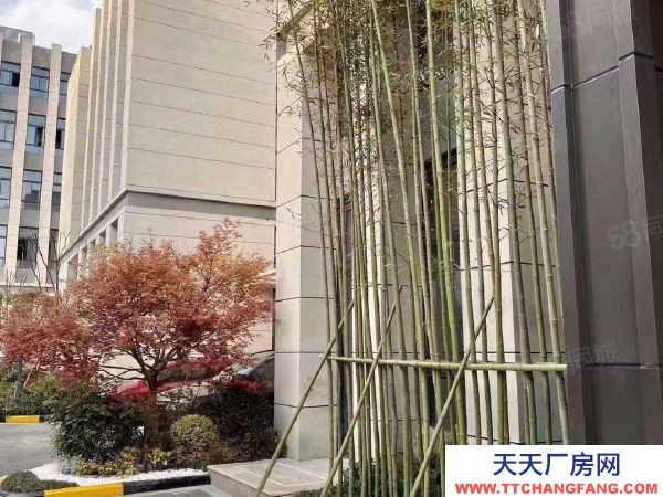 南京市玄武区开发区九龙湖东南大学旁 全新两证园区厂房出售 两证全