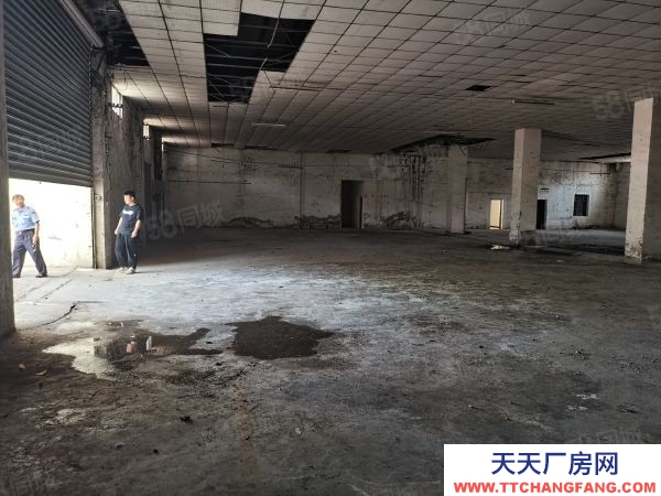 南京市潥水县柘塘附近靠近禄口单门独院厂房1000平另有办公