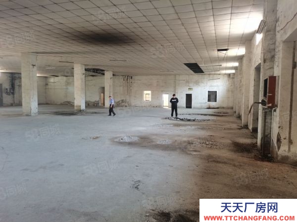 南京市潥水县柘塘附近靠近禄口单门独院厂房1000平另有办公