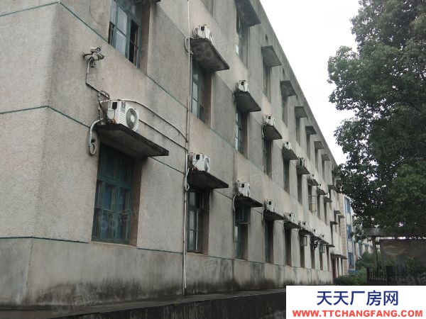 长沙市望城区 大面积厂房整体出租 适合办学校