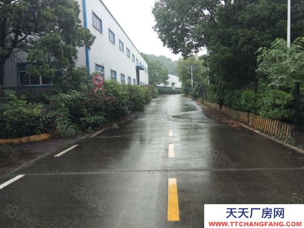 长沙市望城区 大面积厂房整体出租 适合办学校