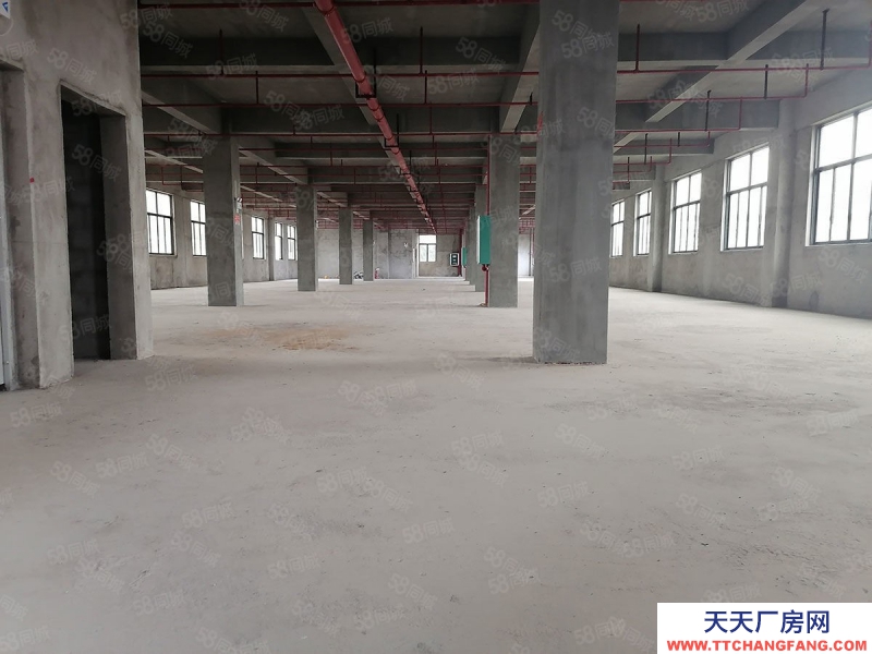 南宁市西乡塘区(出租) 全新标准厂房仓库，500平起，可租可售，有一楼！有补贴