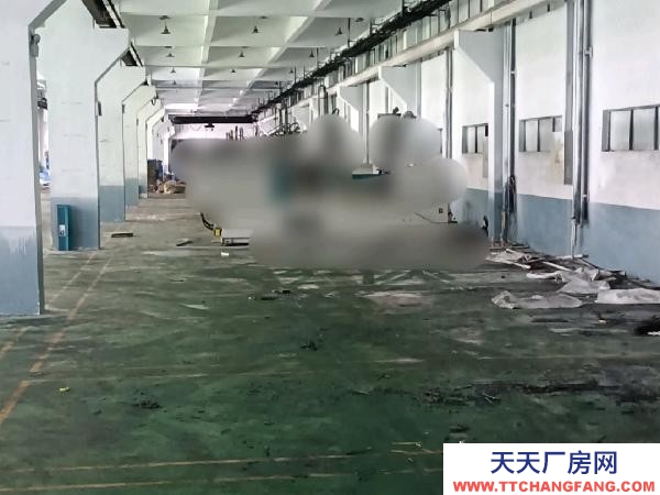 长沙市宁乡区 高新区60亩工业用地5万平米建筑整体出售