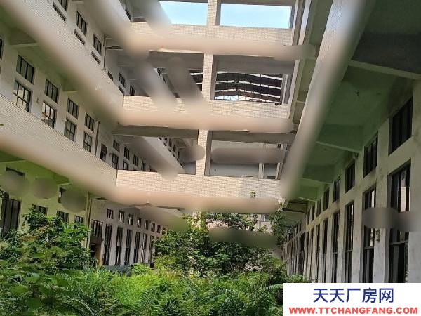 长沙市宁乡区 高新区60亩工业用地5万平米建筑整体出售