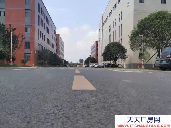 长沙市浏阳区 油漆 免租6个月 2万方可分租 租金13起 面积1000起