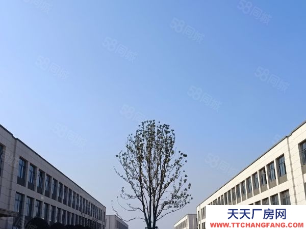 长沙市浏阳区 两层独栋厂房 价格3字头 首付两成可按揭