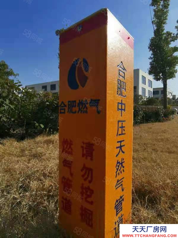 (出售) 合肥长丰2900元起 独栋单层厂房出售 随时入驻