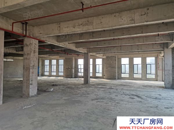 长沙市长沙区金霞3002500平临湖独栋多层厂房可办公生产仓储研发