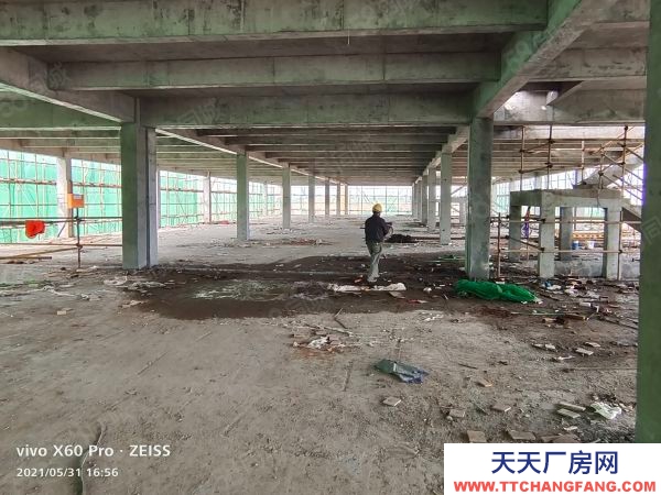 株洲市天元区砖混独栋2层半，一楼层高8.1米，送露台300平，可定制化