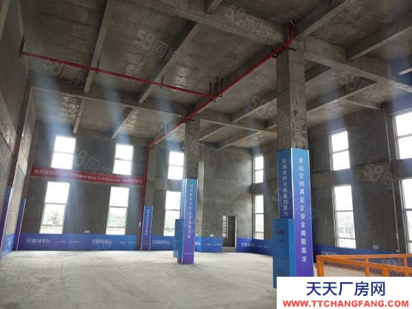 株洲市天元区砖混独栋2层半，一楼层高8.1米，送露台300平，可定制化