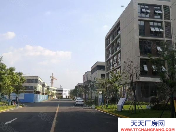 株洲市天元区全新厂房1300平现房出售