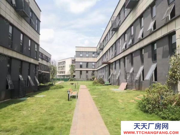 株洲市天元区全新厂房1300平现房出售