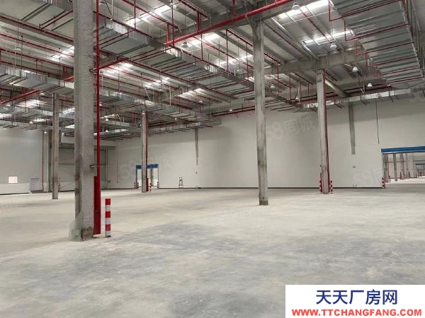 南京市潥水县独门独院 全新高标库 可分租 大型货车好进出 交通方便