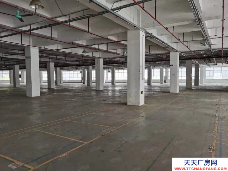 (出售) 业主急售广州黄埔区个人业主园区工业厂房8000平独栋出售或出让