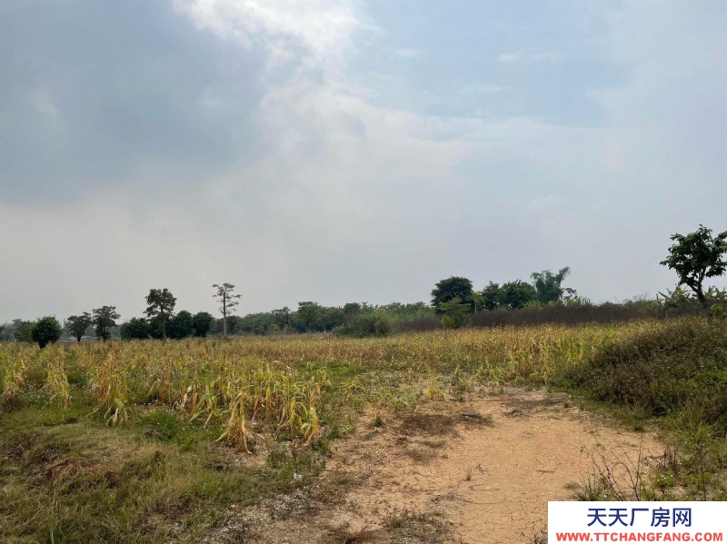 (出租)南宁市西乡塘区美丽南方培训场地出租