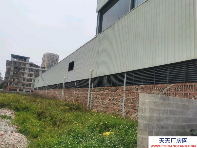 (出租)南宁市西乡塘区一楼菜市 适合做超市 烧烤城 桌游室 或者仓房