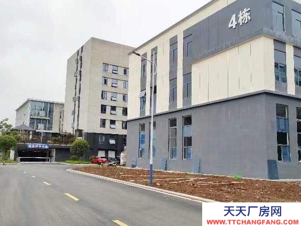 株洲市石峰区一手开发商房源，是现房、现房