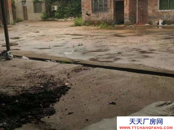 株洲市醴陵市榬木岭房东自建标准厂房仓库直租行业不限