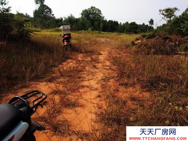 株洲市醴陵市可进挂车7900平带水电水泥路厂房出售或出租