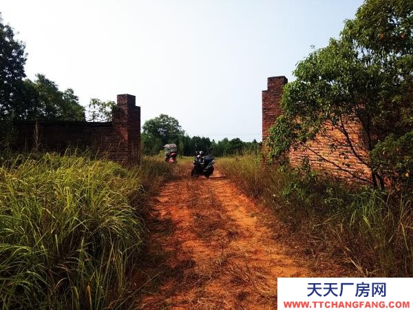 株洲市醴陵市可进挂车7900平带水电水泥路厂房出售或出租