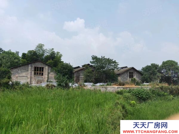 益阳市赫山区紧邻国道234带饲料塔房东自建标准仓库养殖厂优价出租