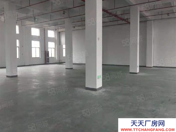 苏州市吴中区出售工业园8亩，吴江开发区双层6200平米