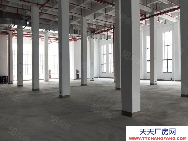 苏州市吴中区出售工业园8亩，吴江开发区双层6200平米