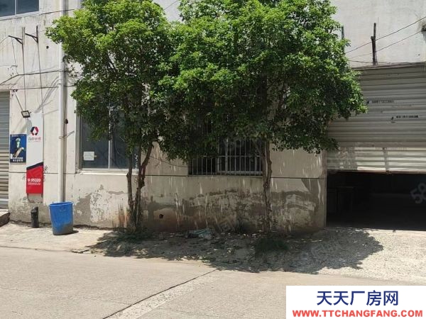 苏州市金阊区白洋湾街道一楼360平可以做仓库，一手房东随时可以看房