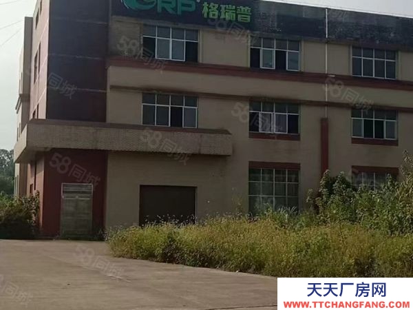 益阳市资阳区 无中介费奥士康公司斜对面标准厂房仓库业主直租行业不限