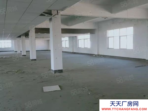 益阳市资阳区 无中介费奥士康公司斜对面标准厂房仓库业主直租行业不限