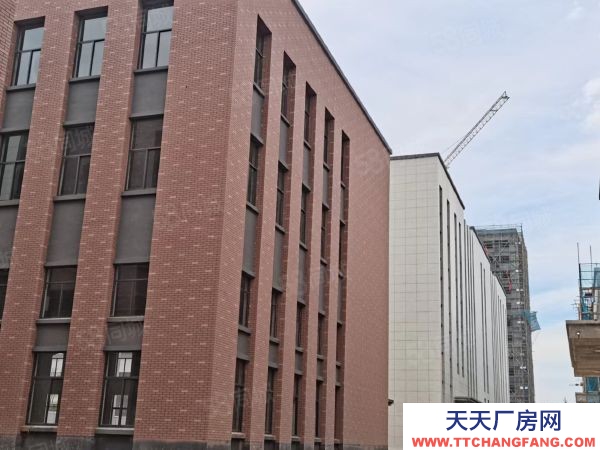 苏州市平江区 三层独栋即买即用首付三成