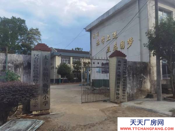 常德市汉寿县太子庙工业园马嘶桥社区319国道边50米处，马嘶桥小学