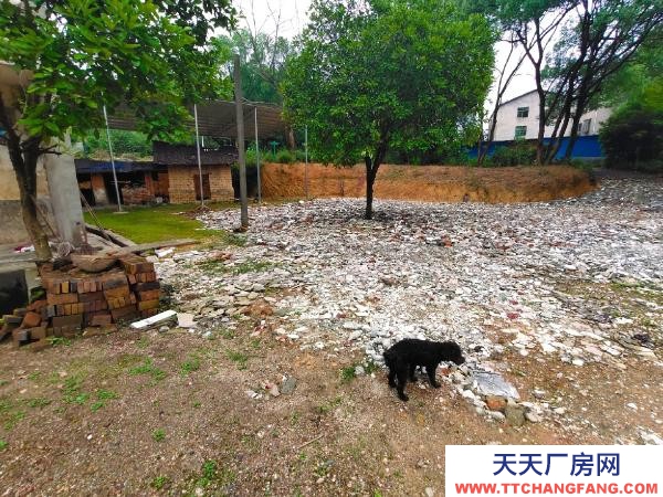 衡阳市蒸湘区 2000平方（+场地）价格面谈