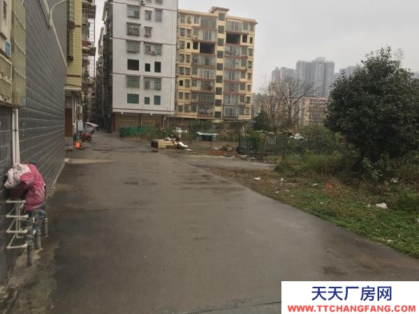 衡阳市耒阳区聂洲27组大樟隍岭11栋靠耒阳河边600平方仓库道路畅通